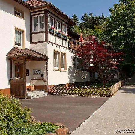 Albert Schweitzer Haus 2* Bad Dürrheim