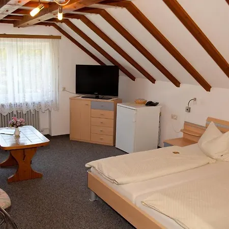 Gasthof Albert Schweitzer Haus Bad Dürrheim