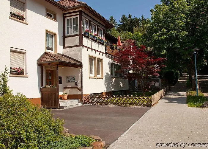 アルバート シュヴァイツァー ハウス 2* バート・デュルハイム