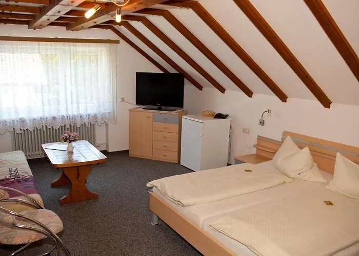 ゲストハウス アルバート シュヴァイツァー ハウス バート・デュルハイム